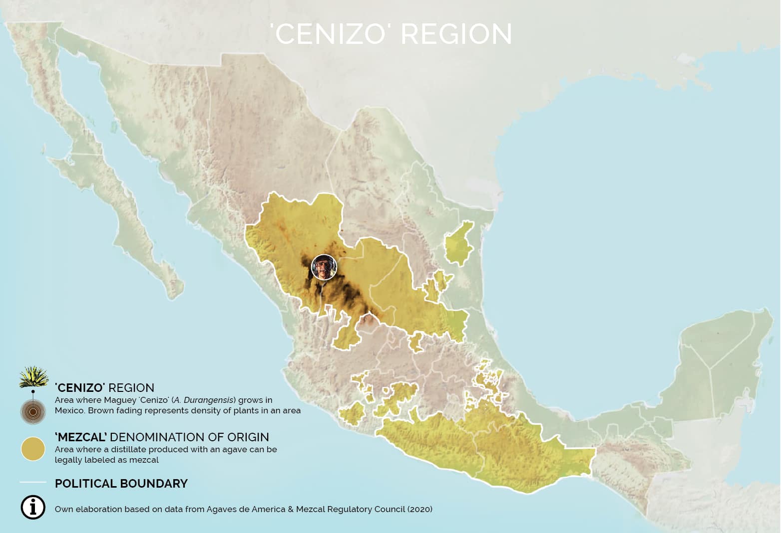Mapa del maguey Cenizo en Mexico